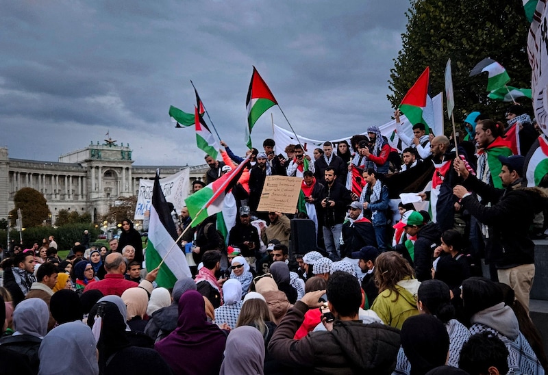 Palestinian rallies take place time and again in Vienna. (Bild: AFP)