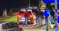 Mit einer Jalousienstange ging der Einbrecher auf Passanten und die Polizei los, als er erwischt ...