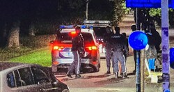 Mit einer Jalousienstange ging der Einbrecher auf Passanten und die Polizei los, als er erwischt wurde (Bild: Markus Tschepp)