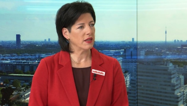 Tanja Wehsely, Geschäftsführerin der Volkshilfe Wien (Bild: krone.tv)