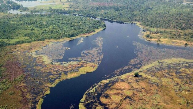 Der Ruki-Fluss in der Demokratischen Republik Kongo ist der wohl dunkelste Fluss der Welt. (Bild: ETH Zürich/Matti Barthel)