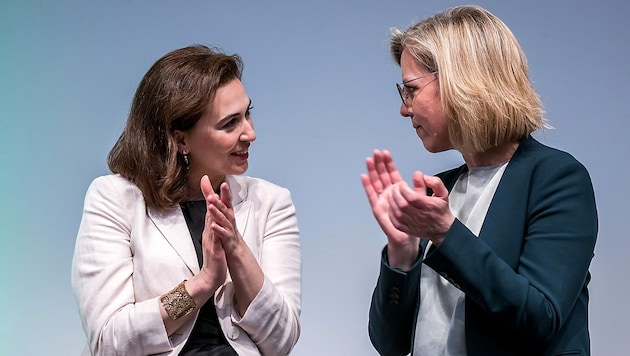 Die beiden Ex-Ministerinnen der Vorgängerregierung sollen nun die Grünen zu alter Stärke führen.