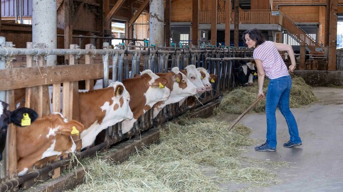 Veronika Brudl ist Landwirtin: 45 Kühe geben Bio-Heumilch