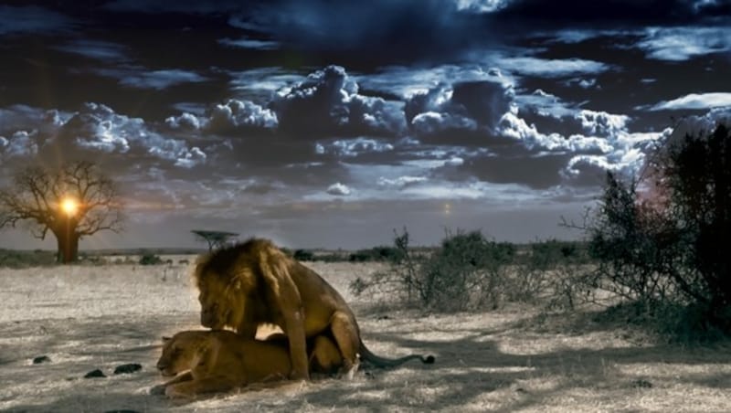 (Bild: © 2023 Terra Mater Studios)