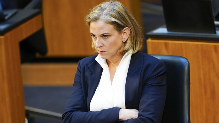 Meinl-Reisinger hatte der Regierung einiges zu sagen