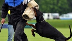 Kein Privater muss einen Hund scharf machen, doch das Gesetz erlaubt es weiterhin (Bild: dpa/dpa-Zentralbild/Z5533 Hendrik Schmidt (Symbolbild))