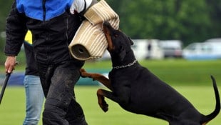 Kein Privater muss einen Hund scharf machen, doch das Gesetz erlaubt es weiterhin (Bild: dpa/dpa-Zentralbild/Z5533 Hendrik Schmidt (Symbolbild))