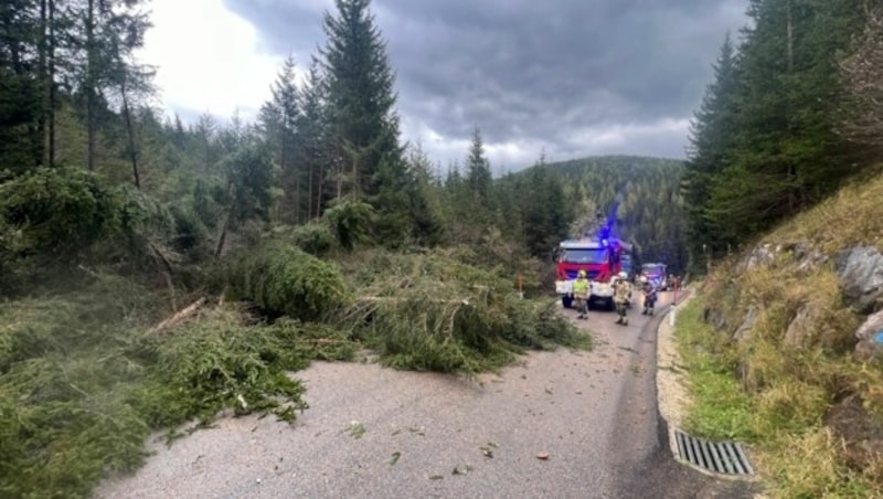 In Tamsweg stürzten einige Bäume auf die Straßen. (Bild: Freiwillige Feuerwehr Tamsweg)