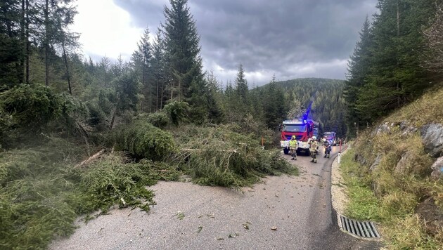 In Tamsweg stürzten einige Bäume auf die Straßen. (Bild: Freiwillige Feuerwehr Tamsweg)