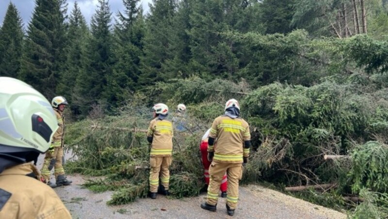 Die Feuerwehr in Tamsweg musste einmal schon ausrücken. (Bild: Freiwillige Feuerwehr Tamsweg)