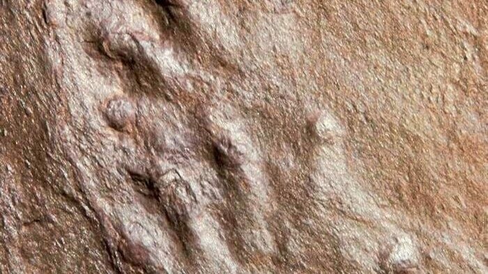 Vor 290-300 Millionen Jahren dürften die urzeitlichen Reptilien wohl bereits im Gailtal ...