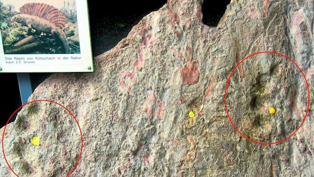 Zirkone in den Saurierspuren ergaben nun ein genaueres Alter der Funde. (Bild: Geopark Karnische Alpen)