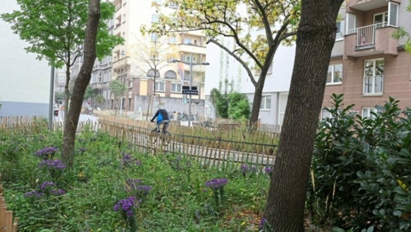 Die Pfeilgasse wird gerade zur klimafitten Fahrradstraße umgebaut. Parkplätze sind hier Mangelware geworden. (Bild: Zwefo)