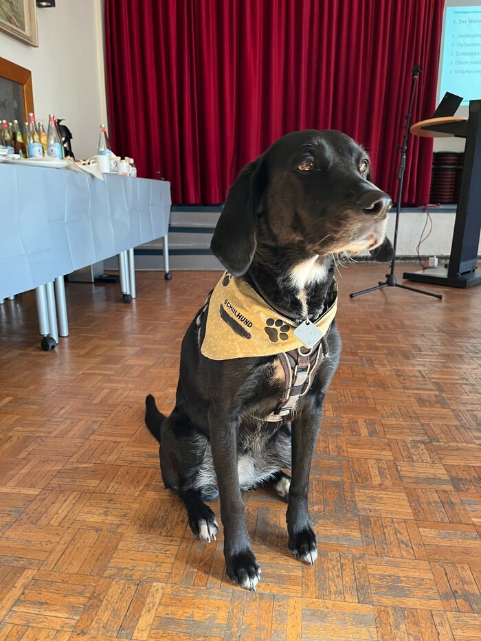 Auch ein Schulhund gehört zum „Inventar“ der Schule für Sechs- bis Zehnjährige.