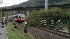 Unfall in Öblarn: Entwurzelter Baum fiel auf Zuggleise (Bild: BFV Liezen/Schlüßlmayr )