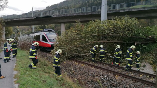 Unfall in Öblarn: Entwurzelter Baum fiel auf Zuggleise (Bild: BFV Liezen/Schlüßlmayr )
