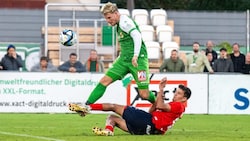 Nikolai Baden-Frederiksen wurde auf transfermarkt.at „gestutzt“. (Bild: GEPA pictures)