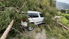 Ein 86-Jähriger wurde von einem umstürzenden Baum erschlagen. (Bild: zoom.tirol)