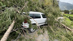 Ein 86-Jähriger wurde von einem umstürzenden Baum erschlagen. (Bild: zoom.tirol)