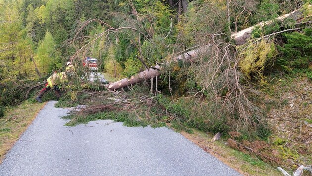 Die Freiwillige Feuerwehr Ramingstein musste etliche umgestürzte Bäume von den Straßen entfernen. (Bild: FF Ramingstein)