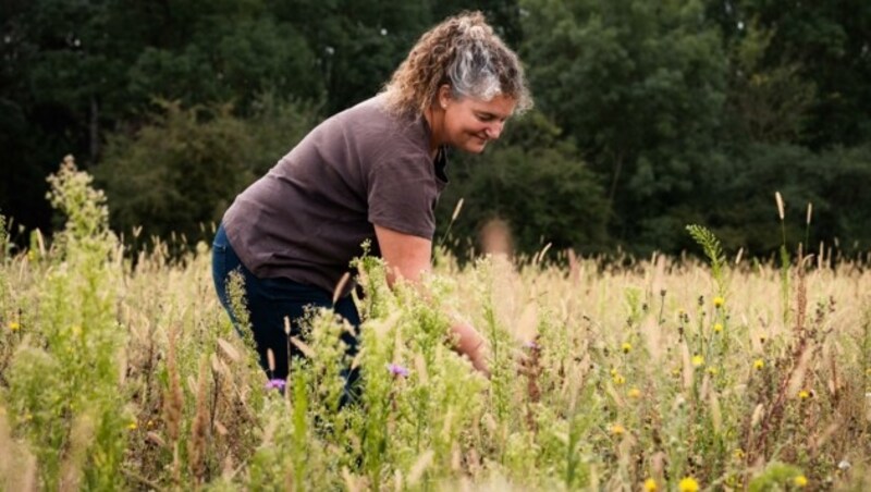 Bei Karin Bauer können die Bienen aus einem Blütenmenü wählen. (Bild: SPAR/Attic)