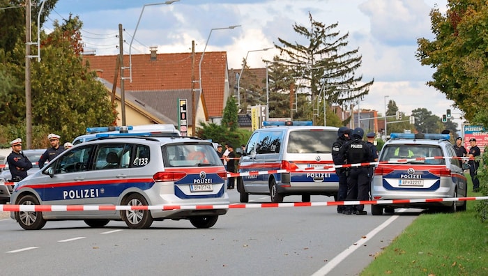 Strasshof, Aşağı Avusturya'daki suç mahalli