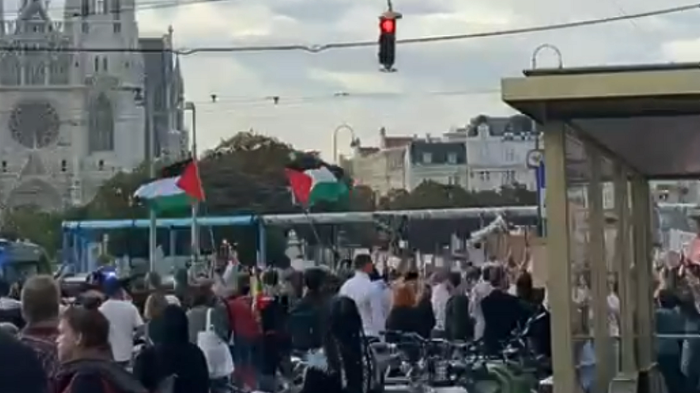 Am Samstag gingen in Wien hunderte Menschen für die Bevölkerung Palästinas auf die Straße. (Bild: „Krone“-Leserreporter)
