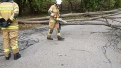 Mit bis zu 120 Kilometern pro Stunde fegte der Sturm durch das Gasteinertal. (Bild: FF St. Michael)