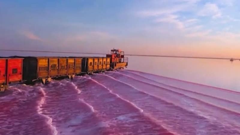 Einmal im Jahr färbt sich das Wasser des Burlinskoye-Sees in Sibirien rosa bis pink. (Bild: kameraOne (Screenshot))