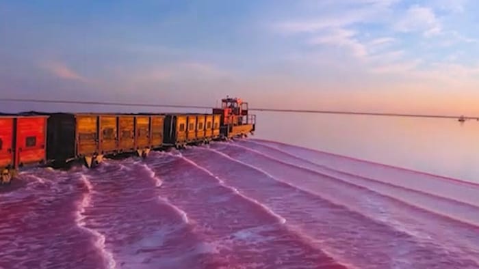 Einmal im Jahr färbt sich das Wasser des Burlinskoye-Sees in Sibirien rosa bis pink.