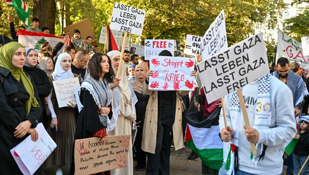 Rund 600 Teilnehmer versammelten sich zur Demo im Volksgarten. (Bild: © Harald Dostal / 2023)