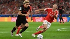 Mads Bidstrup sorgte gegen Benfica mit einer beeindruckenden Laufleistung für Aufsehen. (Bild: GEPA pictures/ Zed Jameson)