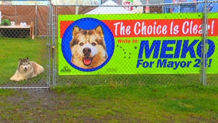 Zeigler wirbt mit dem Slogan „The Choice Is Clear!“ (Die Wahl ist klar!) für seinen ...