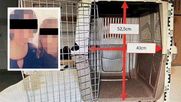In diesem Käfig soll der Zwölfjährige von seiner eigenen Mutter (32) eingesperrt worden sein. Eine 40-jährige mögliche Komplizin galt als Beitragstäterin. (Bild: zVg, Krone KREATIV)