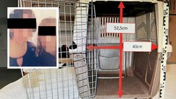 Sabine K. (li.) steht unter dem dringenden Verdacht des versuchten Mordes. Ihrer Komplizin wird fortgesetzte Gewaltausübung angelastet. Rechts: Das Gefängnis des Opfers - eine Hunde-Box. (Bild: zVg, Krone KREATIV)