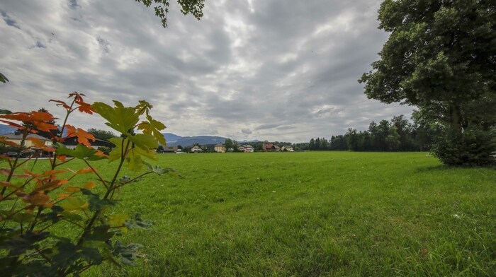 Beim Großprojekt in Gneis sind in Summe 120 neue Eigentums- und 130 neue Mietwohnungen geplant. ...