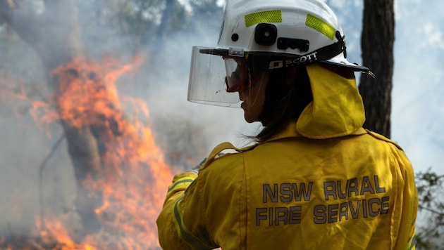 Ein Angehöriger der Freiwilligen Feuerwehr kämpft in Australien gegen die Flammen (Symbolbild). (Bild: APA/AFP/Aston Brown)