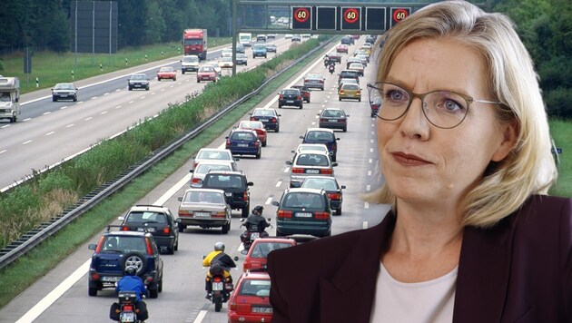 Grünflächen neben Autobahnen dürfen von der Asfinag nun versiegelt werden.