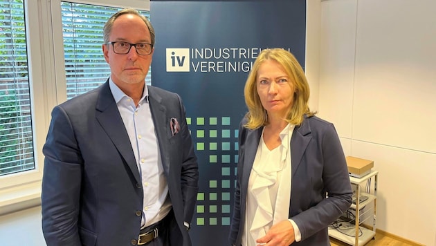 IV-Präsident Timo Springer und IV-Geschäftsführerin Claudia Mischensky präsentierten die aktuelle Konjunkturumfrage. (Bild: Felix Justich)
