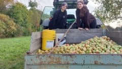 Dieses Bild entstand wenige Tage vor dem Diebstahl. Schülerinnen hatten mehrere Kisten Äpfel und Birnen geerntet, waren stolz auf ihre Arbeit. Jede Klasse sollte sich beteiligen, doch einigen nahmen die Diebe die Arbeit ab. (Bild: Fachschule Bergheim)