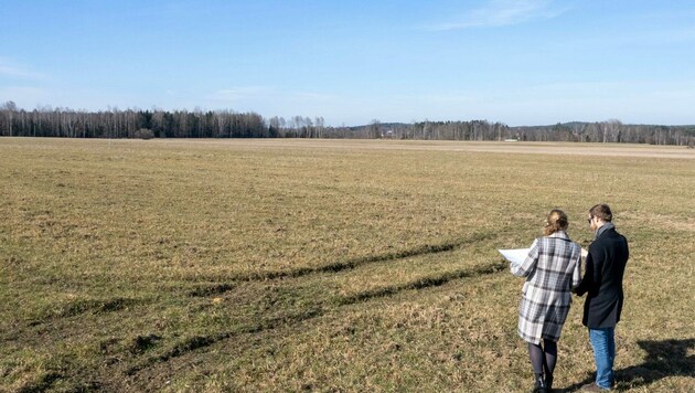 Auf dieser Fläche soll die „Fisch-Firma“ in Gmünd errichtet werden. 