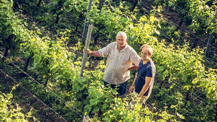 Sem Kegley und Georg Lexer bauen in der Landeshauptstadt erfolgreich Wein an.