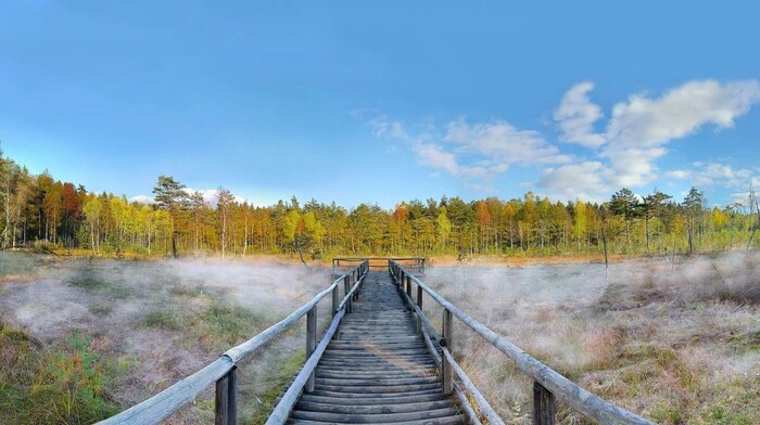 ... bis zum Hochmoor Heidenreichstein