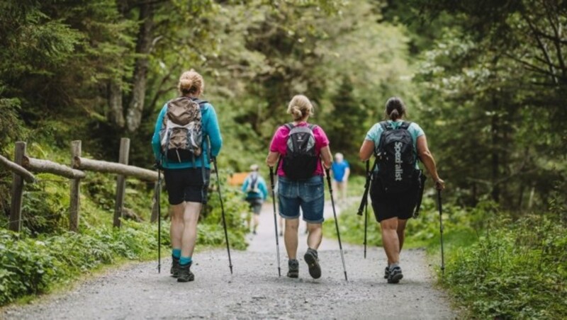 Gesellige Wanderungen während der Herbstferien sind auch in der Region Wienerwald sehr beliebt. (Bild: EXPA/ Stefanie Oberhauser)