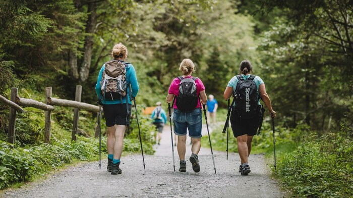 Gesellige Wanderungen während der Herbstferien sind auch in der Region Wienerwald sehr beliebt.