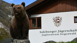 Im Landesjägerzentrum dient das Präparat angehenden Jägern für Schulungszwecke. (Bild: Salzburger Jägerschaft)