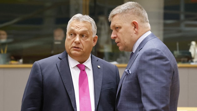 Viktor Orban (links) im Gespräch mit Robert Fico (Bild: AFP)