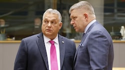 Viktor Orban (links) im Gespräch mit Robert Fico (Bild: AFP)