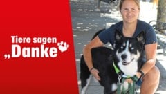 Der hübsche Rüde kann sich auf sein Leben bei Hundeexpertin Lisanna Gerjol freuen.  (Bild: ...,Krone KREATIV)