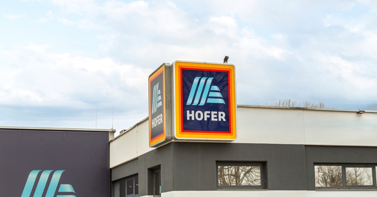 Wegen Verunreinigungen - Diskonter Hofer ruft jetzt Kornbrot zurück ...